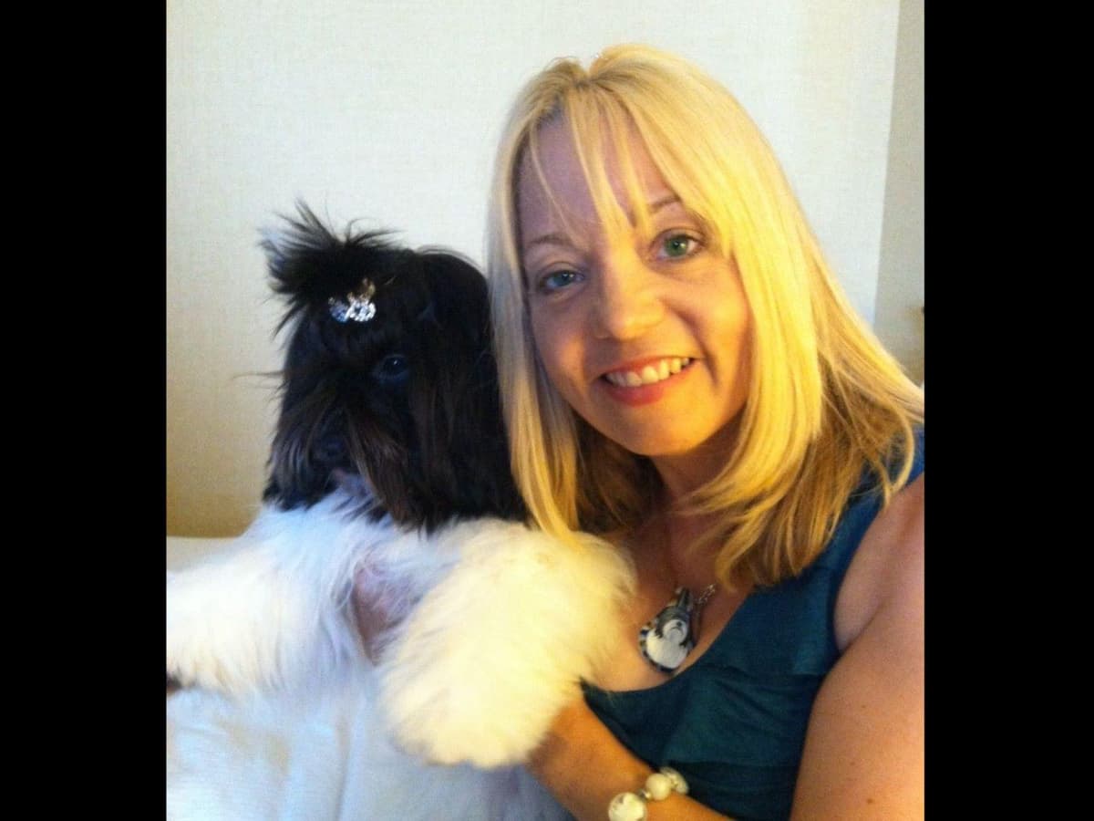 Havanese Puppies-Best to Call or Text. 941-468-7926 breeder image 16