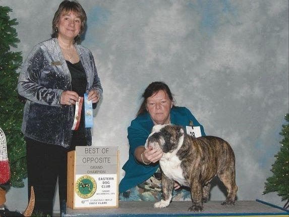 Gorgeous French Bulldog Puppies breeder image 5