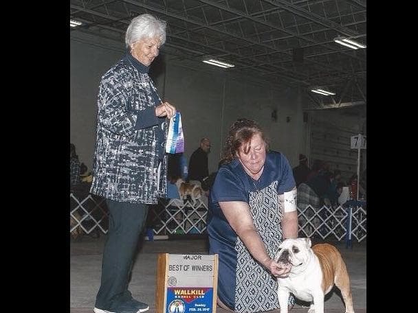 Gorgeous French Bulldog Puppies breeder image 12