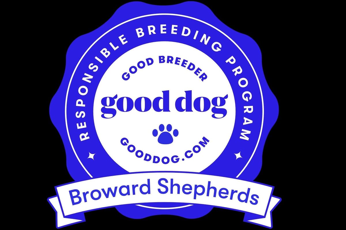 German Shepherd Dog Puppies breeder image 12