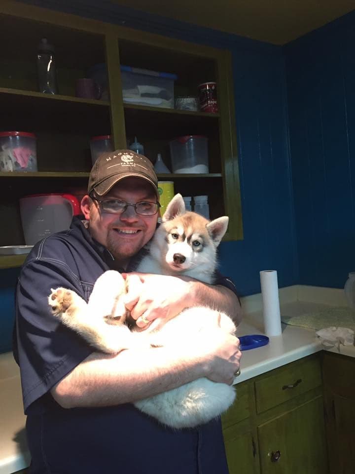 Shiba Inu Puppies breeder image 12