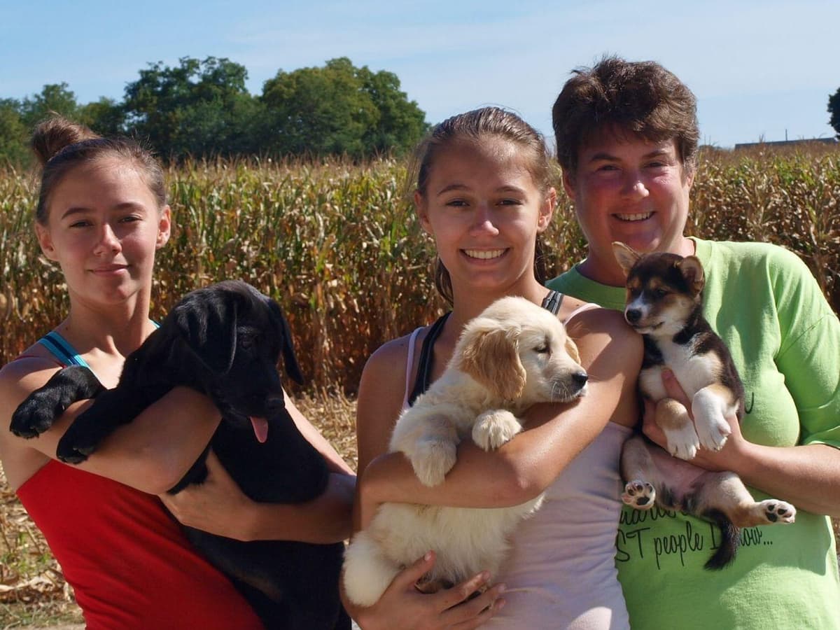 Shiba Inu Puppies breeder image 4