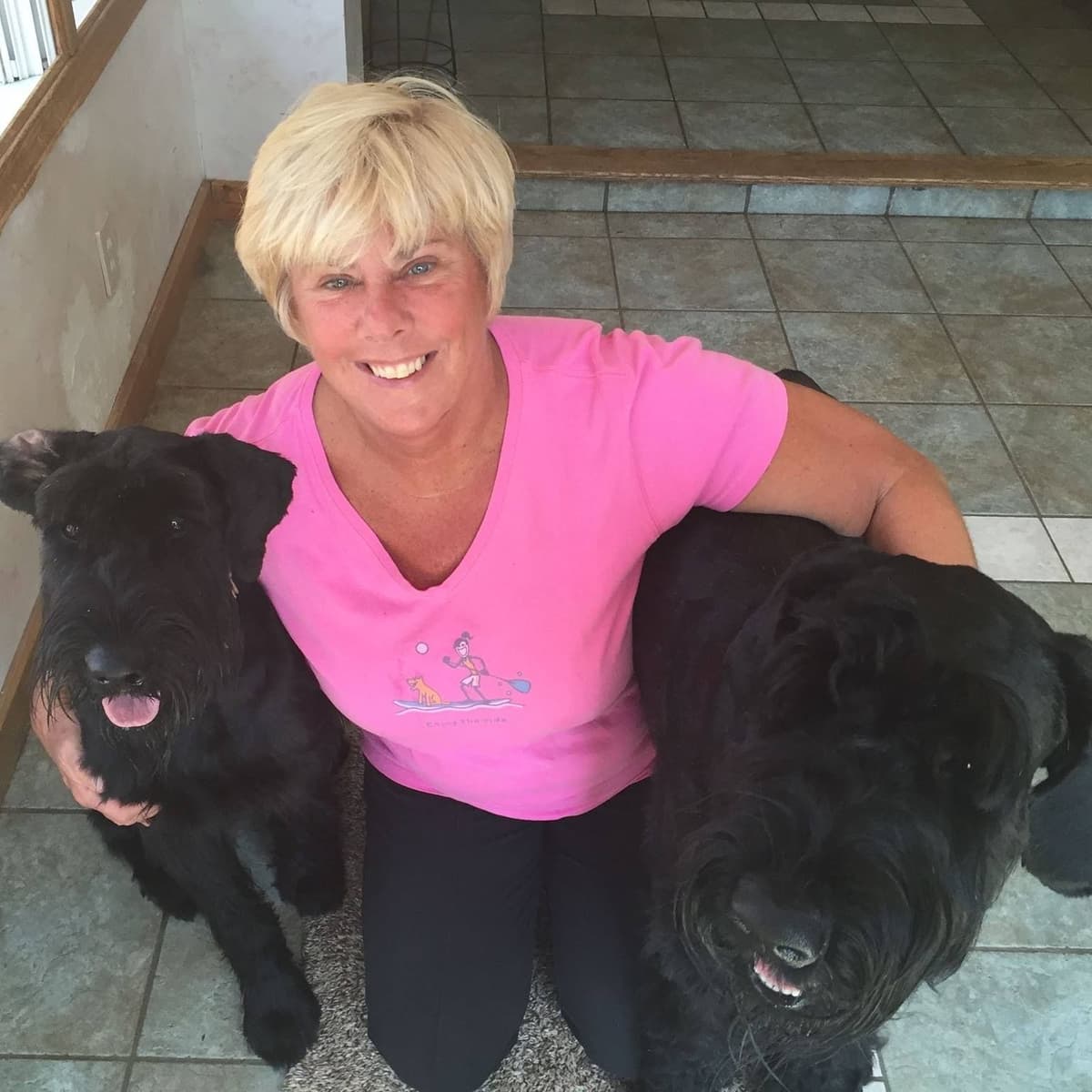 Giant Schnauzer Puppies --- Female Puppy Available breeder image 1