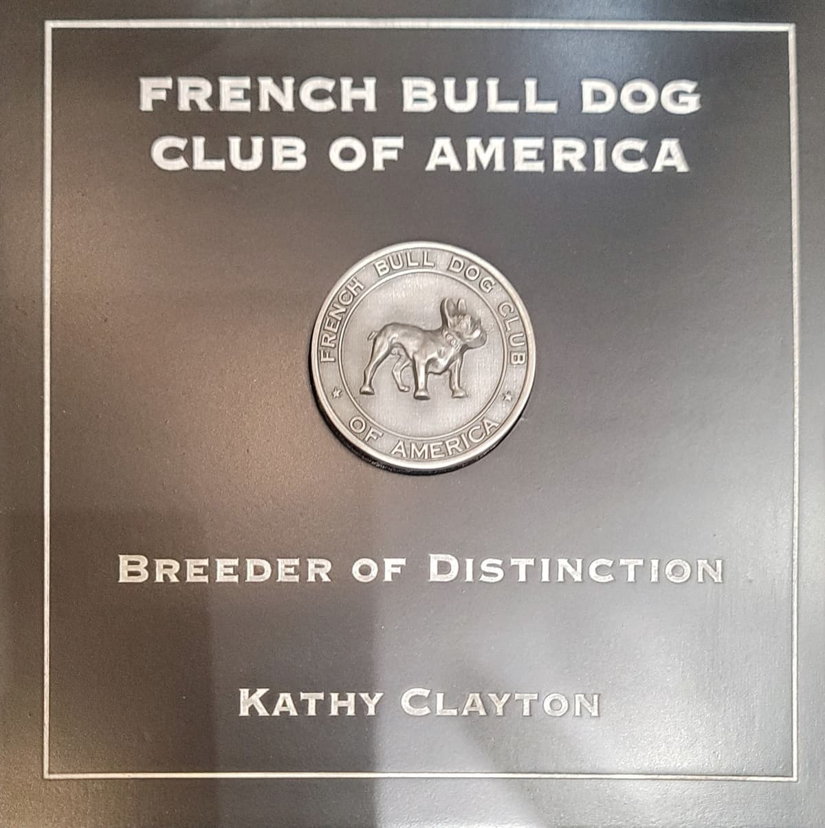 French Bulldog Puppies - Grand Champion Sire and Champion Pedigree breeder image 3