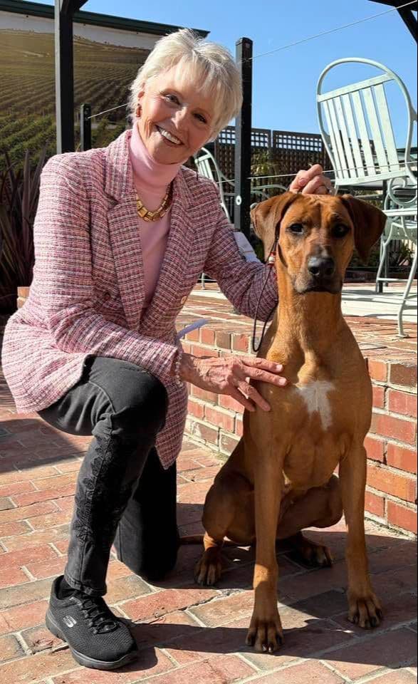 Rhodesian Ridgeback Puppies SOLD breeder image 12