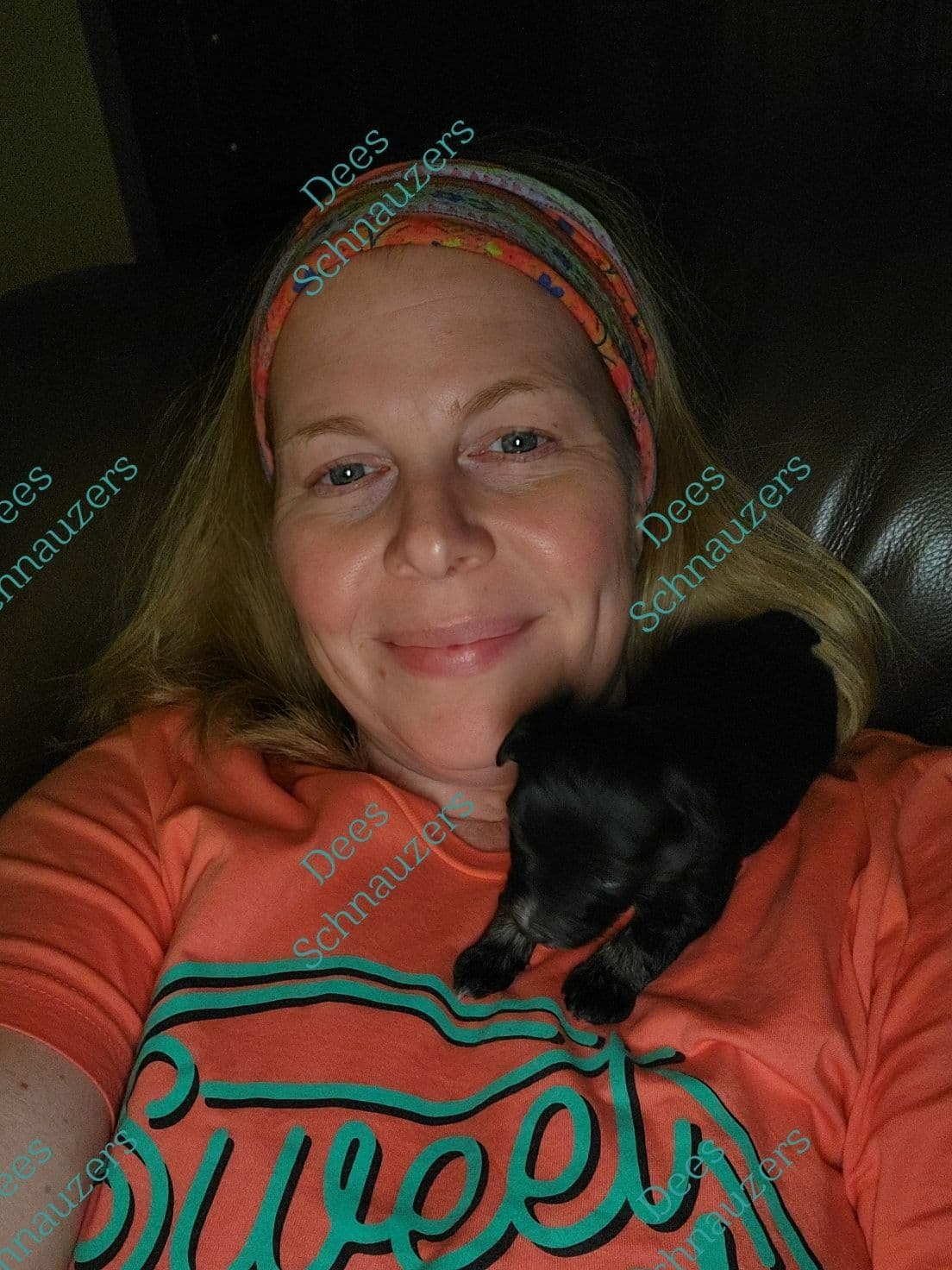 Dees Schnauzers- mini schnauzer pups breeder image 10