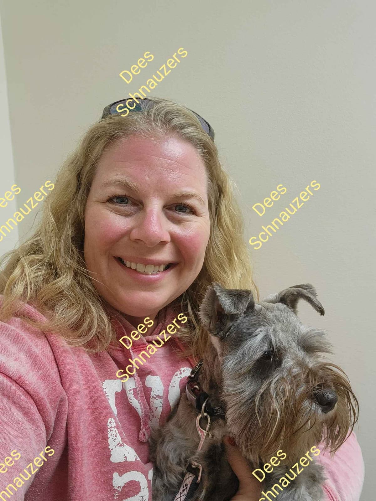 Dees Schnauzers- mini schnauzer pups breeder image 20