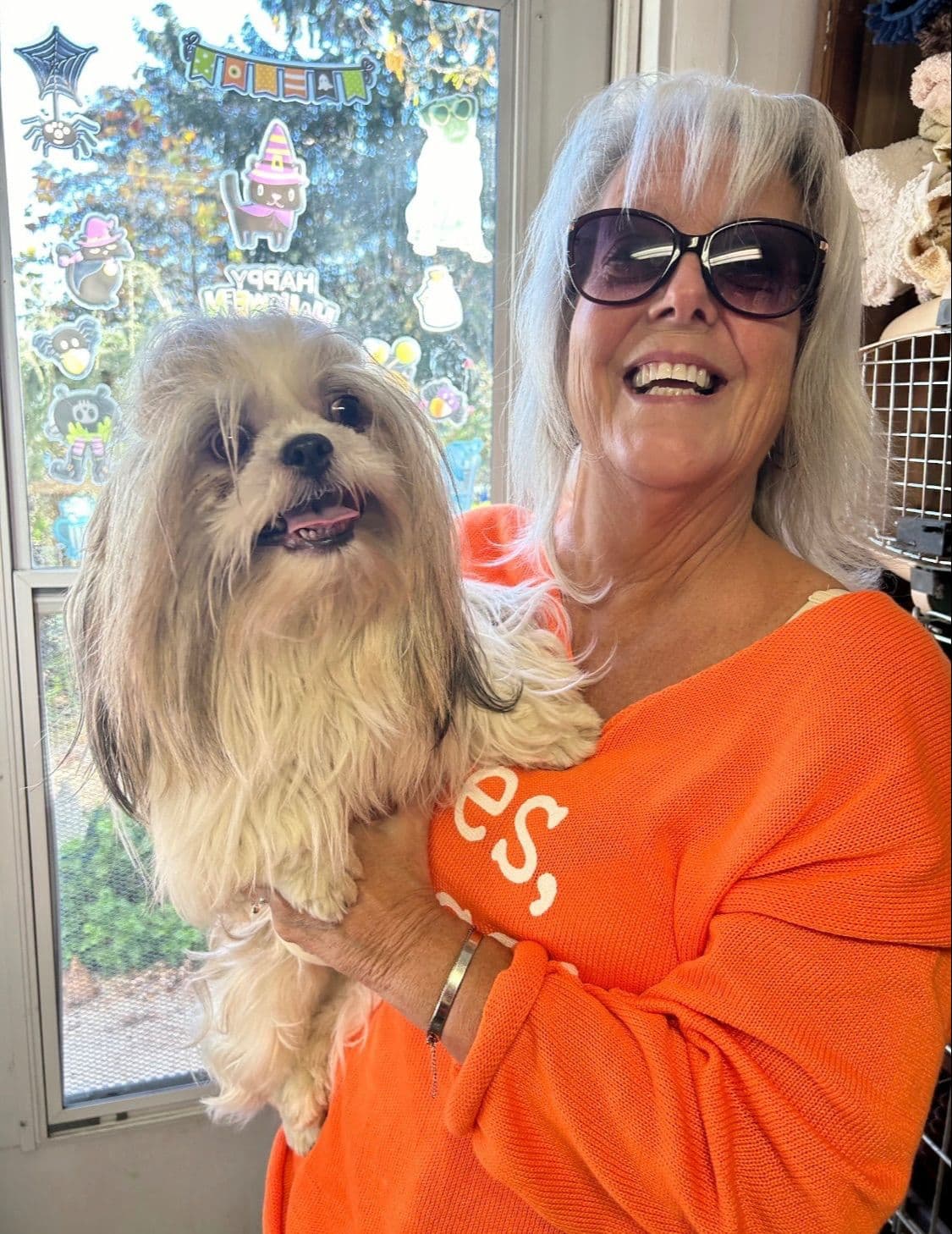Shih Tzu Puppies breeder image 14