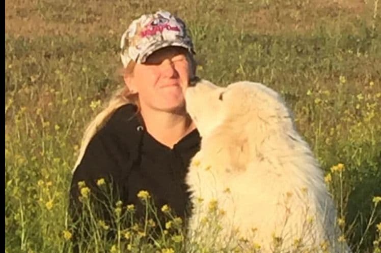 Great Pyrenees Puppies breeder image 14