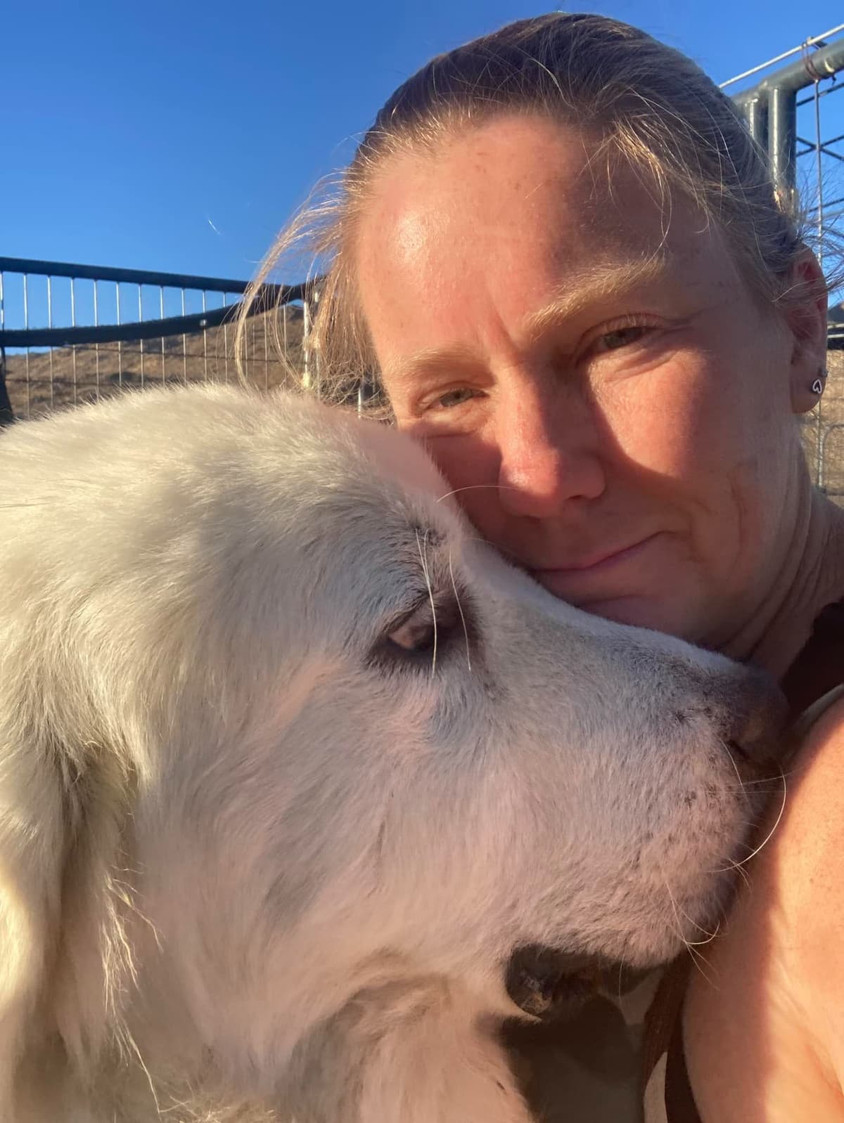Great Pyrenees Puppies breeder image 20