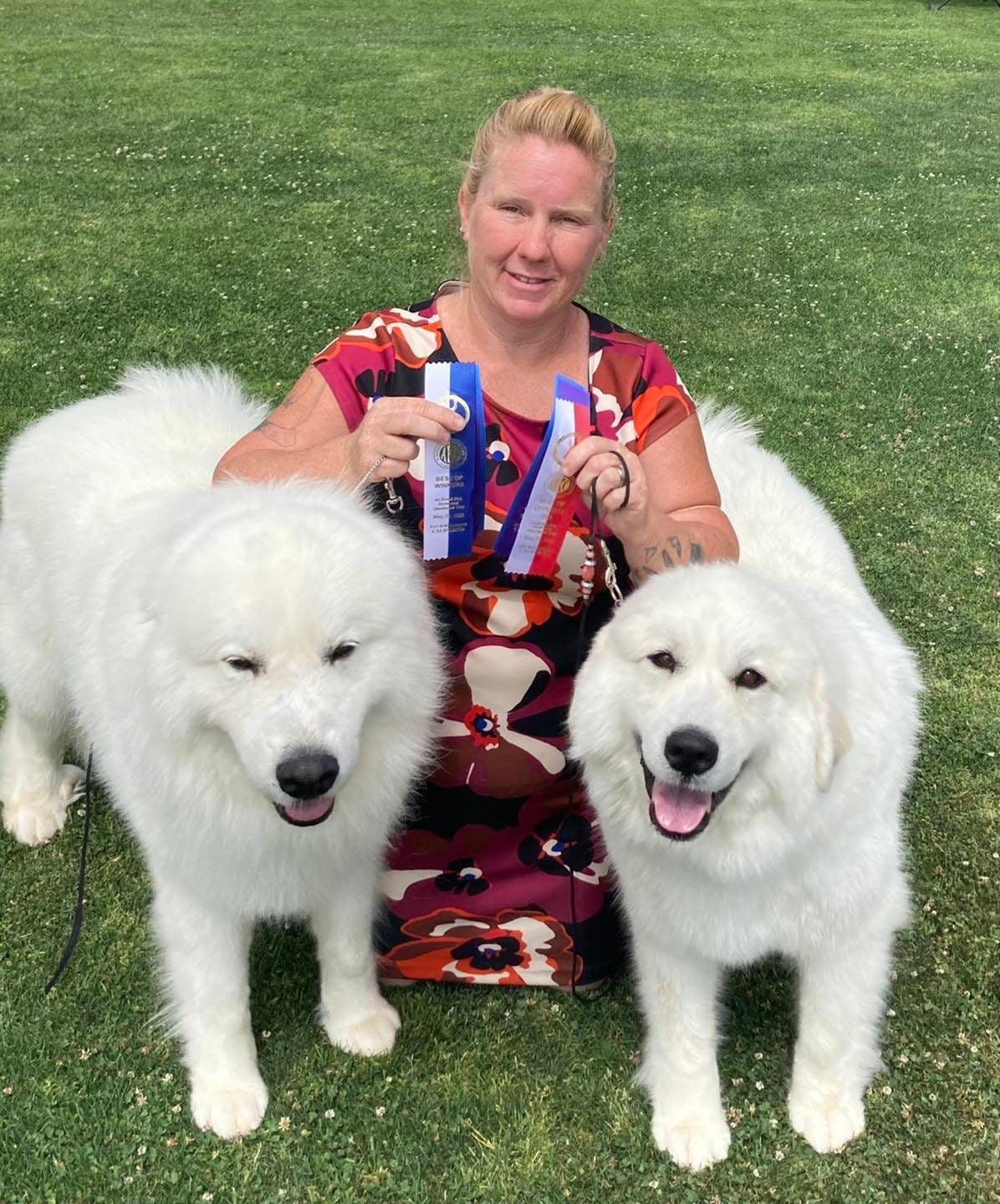 Great Pyrenees Puppies breeder image 18