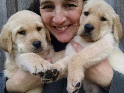 AKC Labrador Retriever Puppies breeder image 7