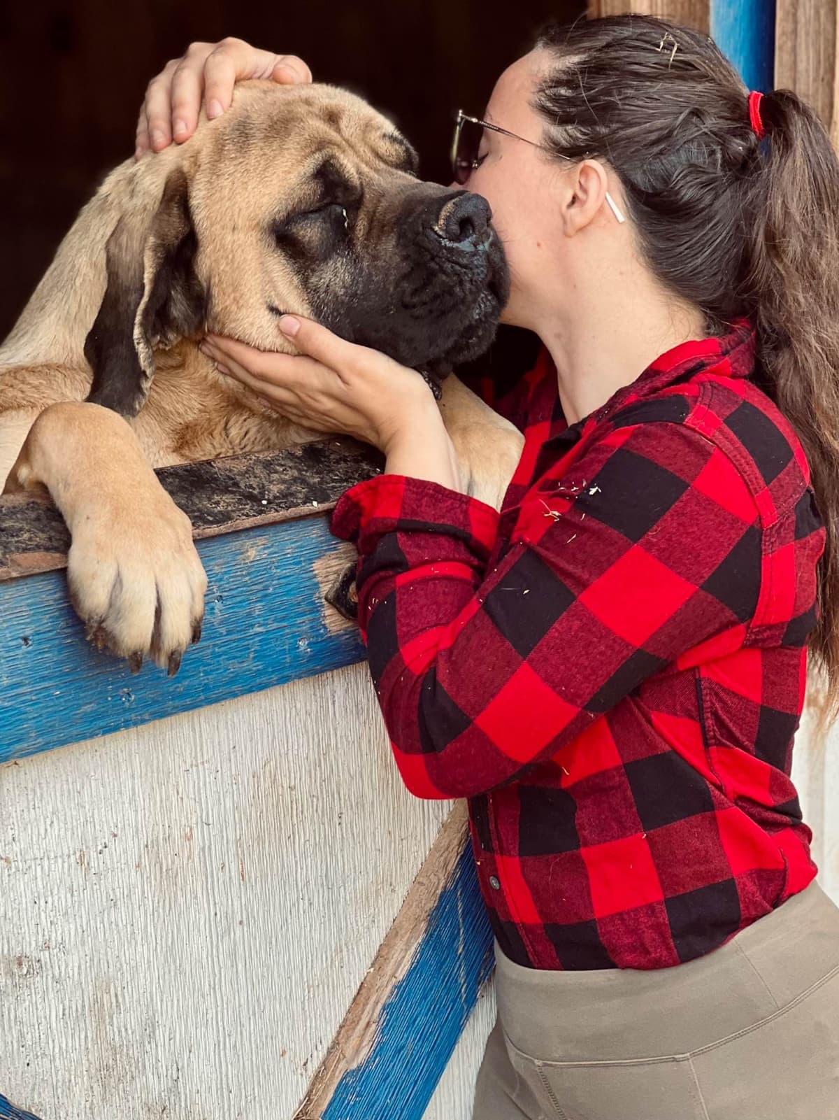 ❤️❤️Puppies❤️❤️ breeder image 16