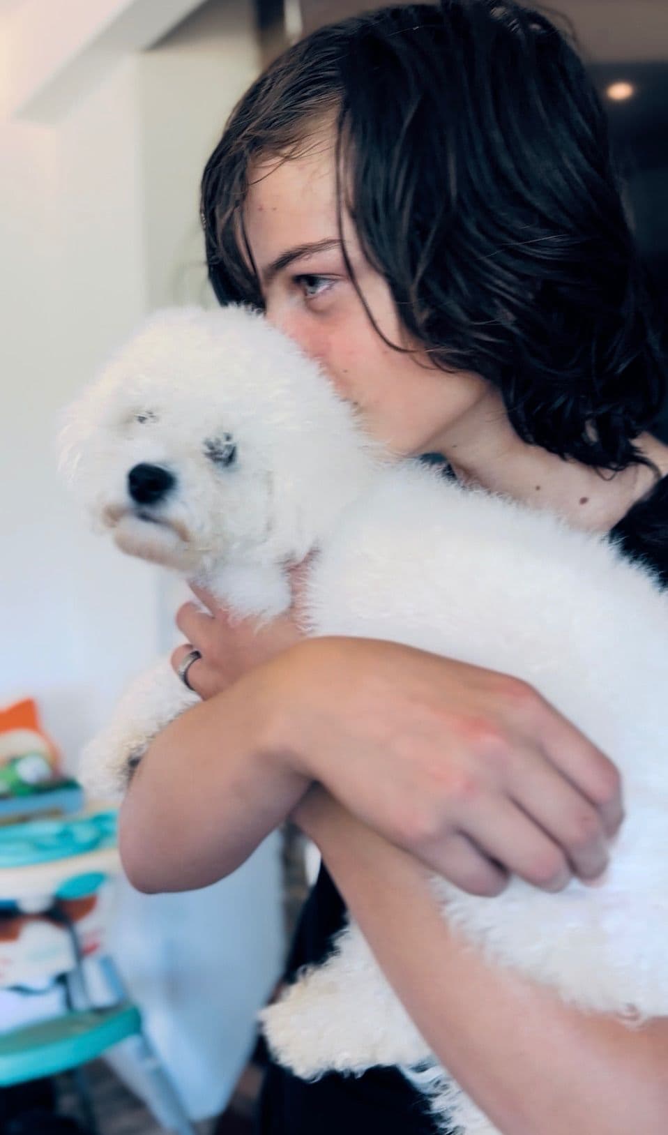 ❤️❤️Puppies❤️❤️ breeder image 28