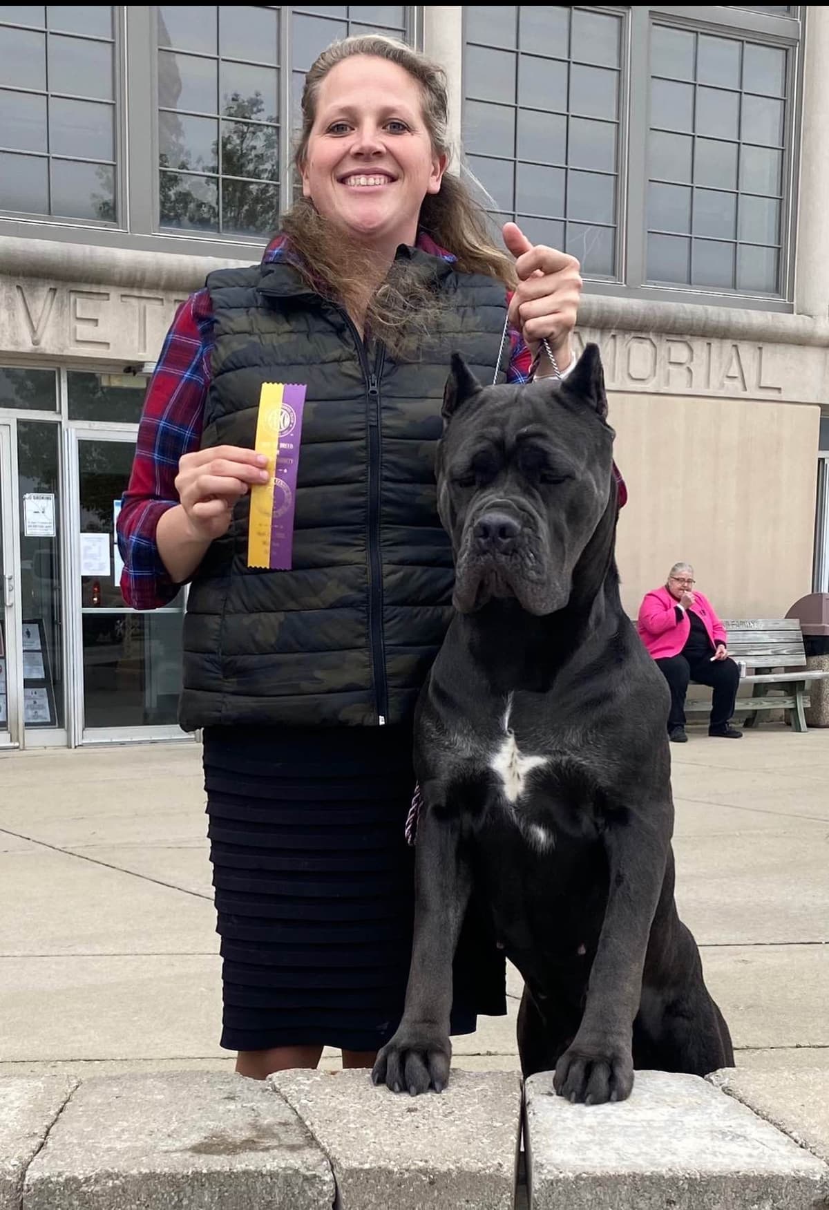 Cane Corso Puppies! breeder image 9