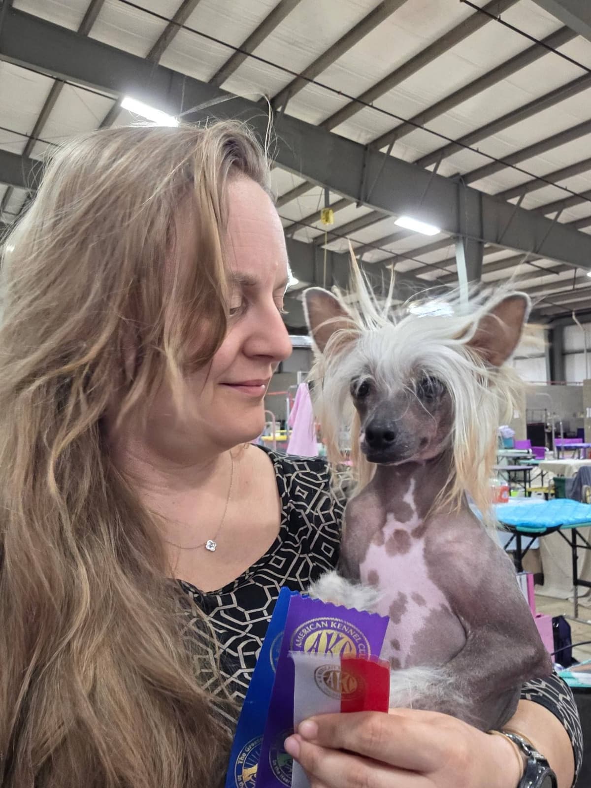 Chinese Crested Puppies breeder image 8