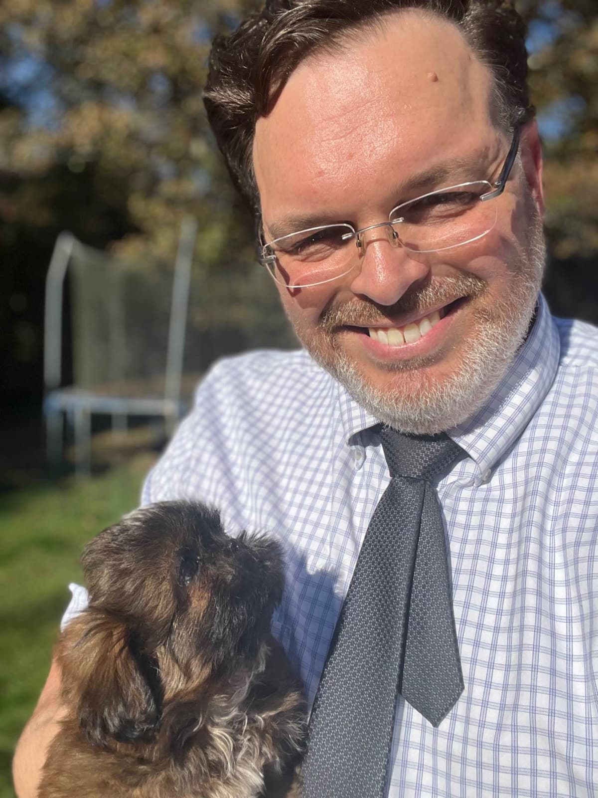 Stunning Shih Tzu Puppies in RI breeder image 1