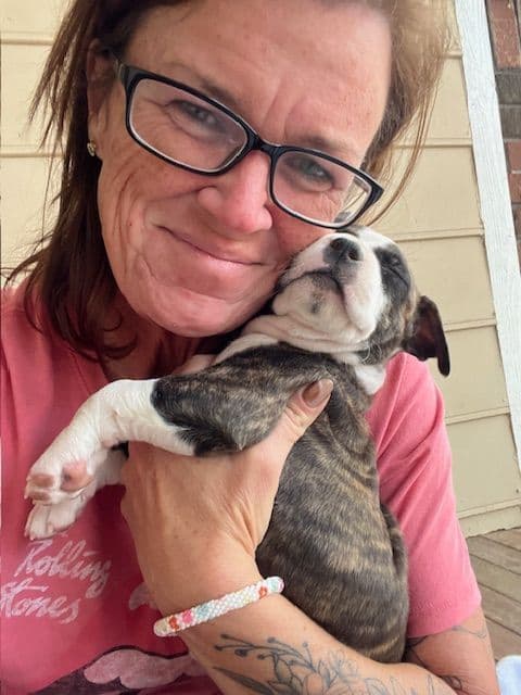 American Staffordshire Terrier Puppies media 3