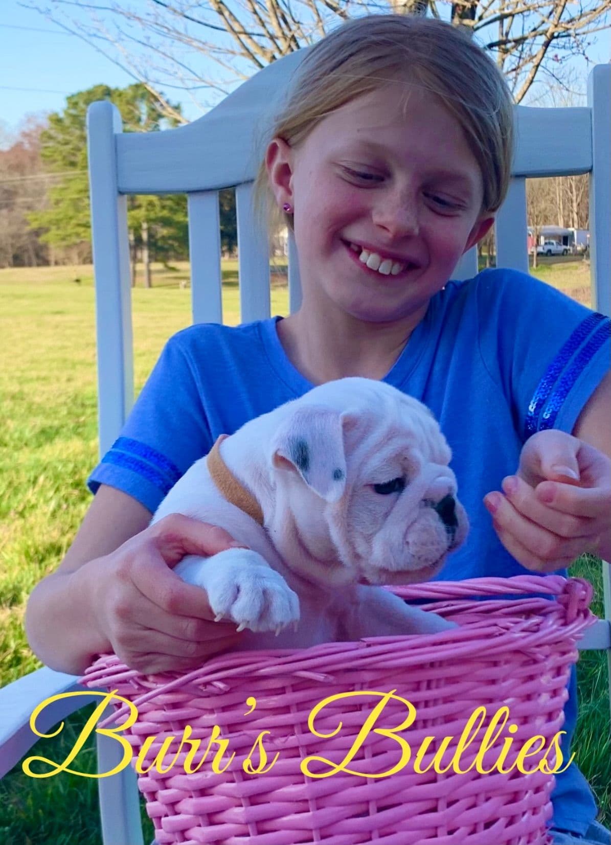 Bulldog Puppies breeder image 63