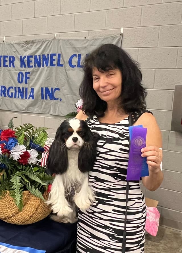 Cavalier King Charles Spaniel Puppies media 9