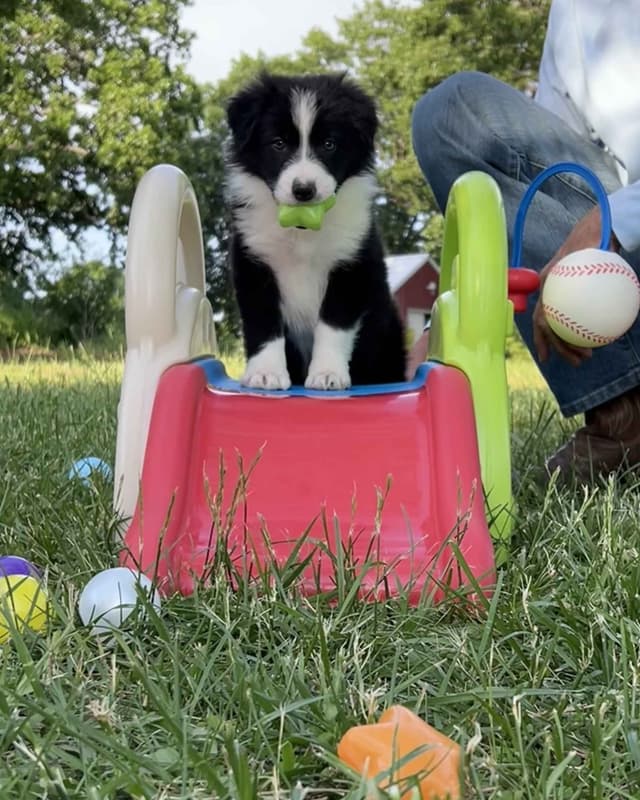 The Spring Equinox Litter media 17