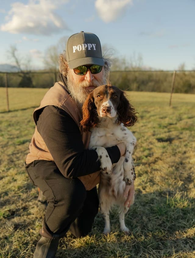 English Springer Spaniel Puppies media 6