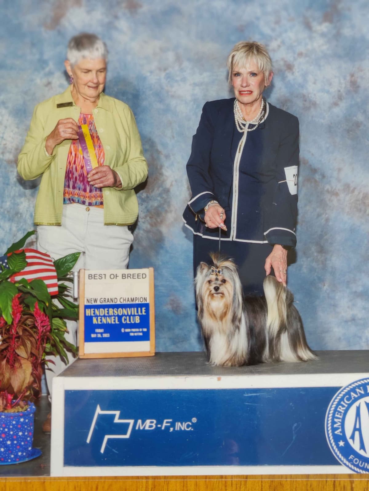 Karma Havanese breeder image 3