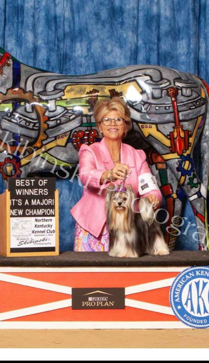 Karma Havanese breeder image 8