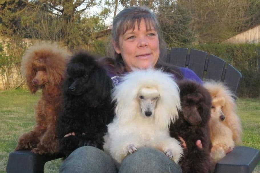 Poodle Puppies breeder image 2