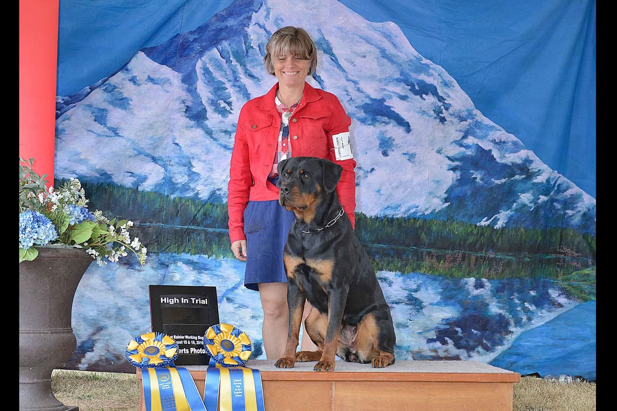 Rottweiler Puppies breeder image 5