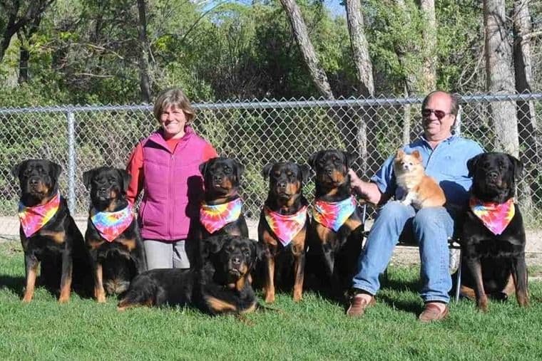 Rottweiler Puppies breeder image 7