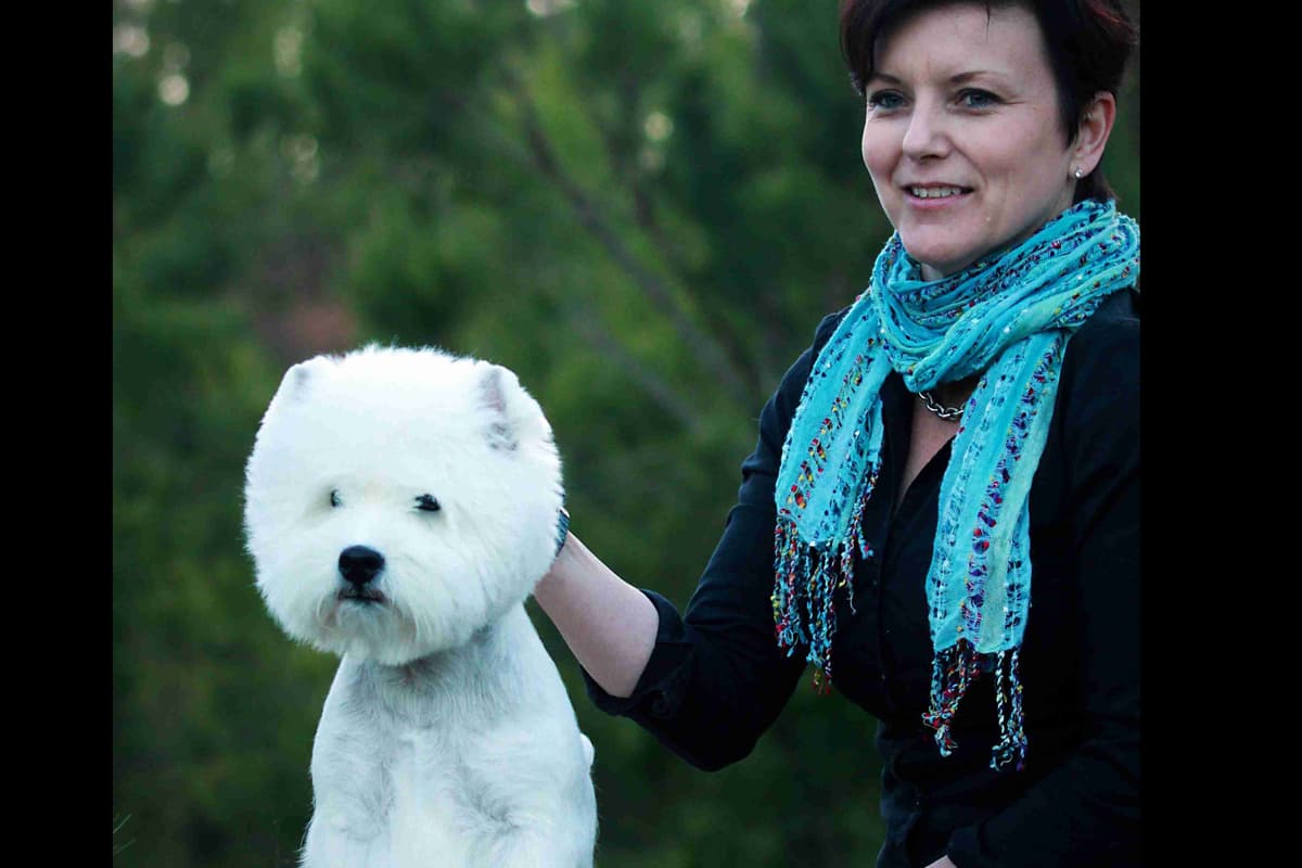 West Highland White Terrier Puppies breeder image 1