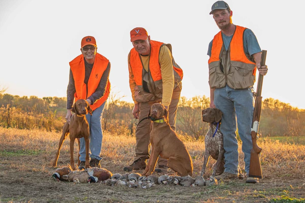 German Shorthaired Pointer Puppies breeder image 15