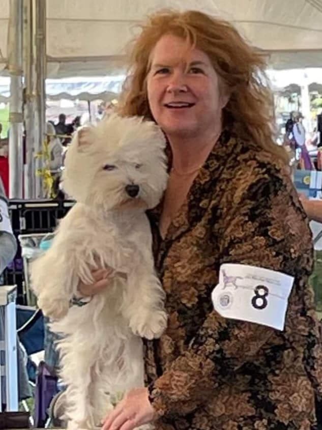 AKC Havanese Puppies - Champion lines - ready mid-August 2026 breeder image 3