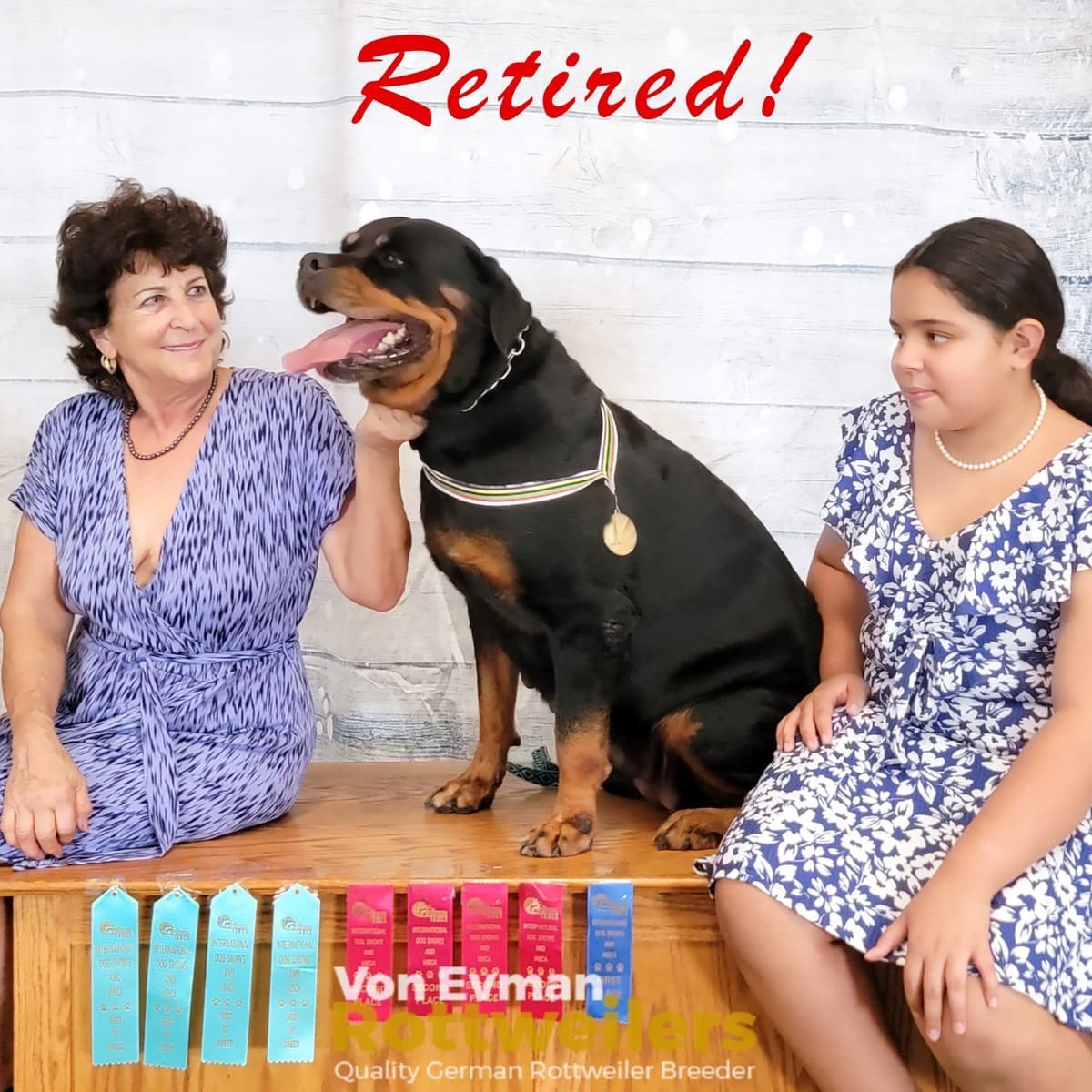 Rottweiler Puppies Top titled & health cert. in the World breeder image 16