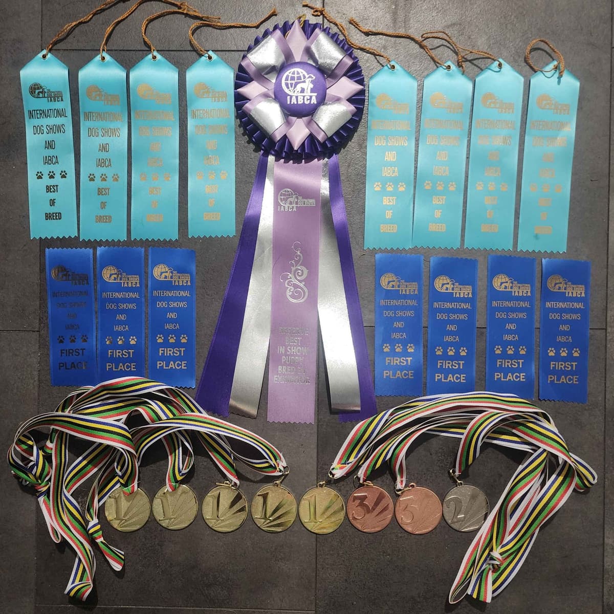 Rottweiler Puppies Top titled & health cert. in the World breeder image 20