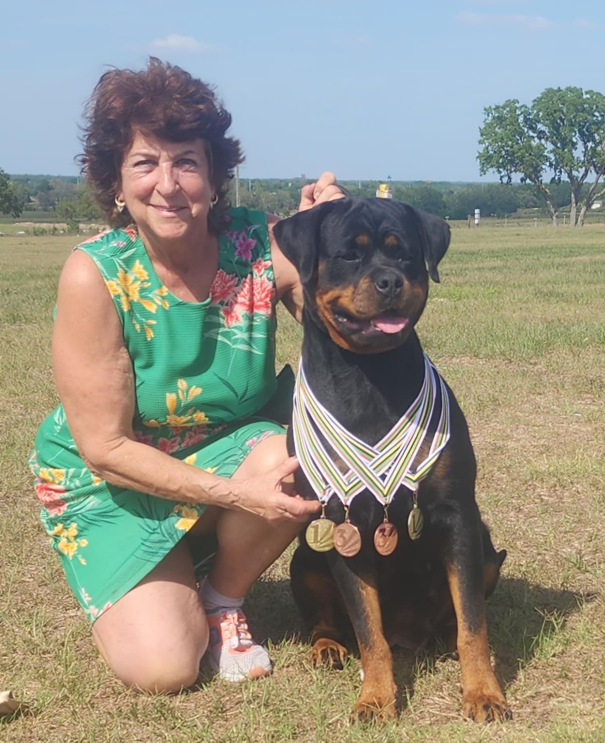 Rottweiler Puppies Top titled & health cert. in the World breeder image 21