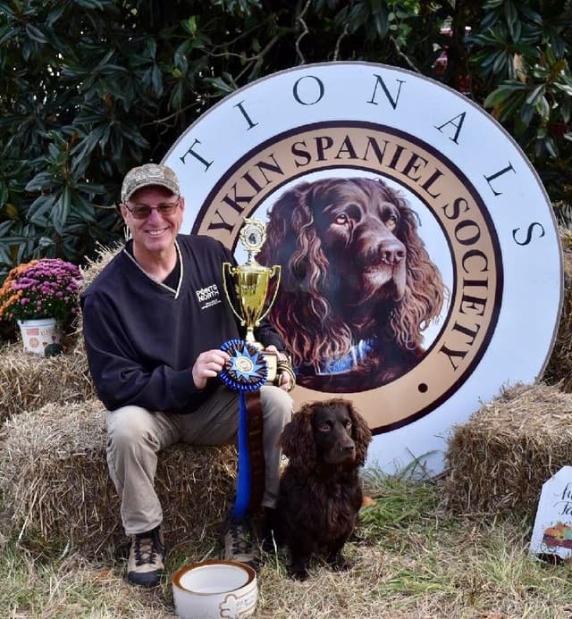 Boykin Spaniel Puppies media 4