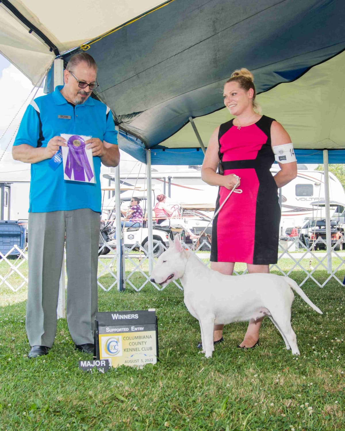 Beautiful Bull Terrier Puppies breeder image 1