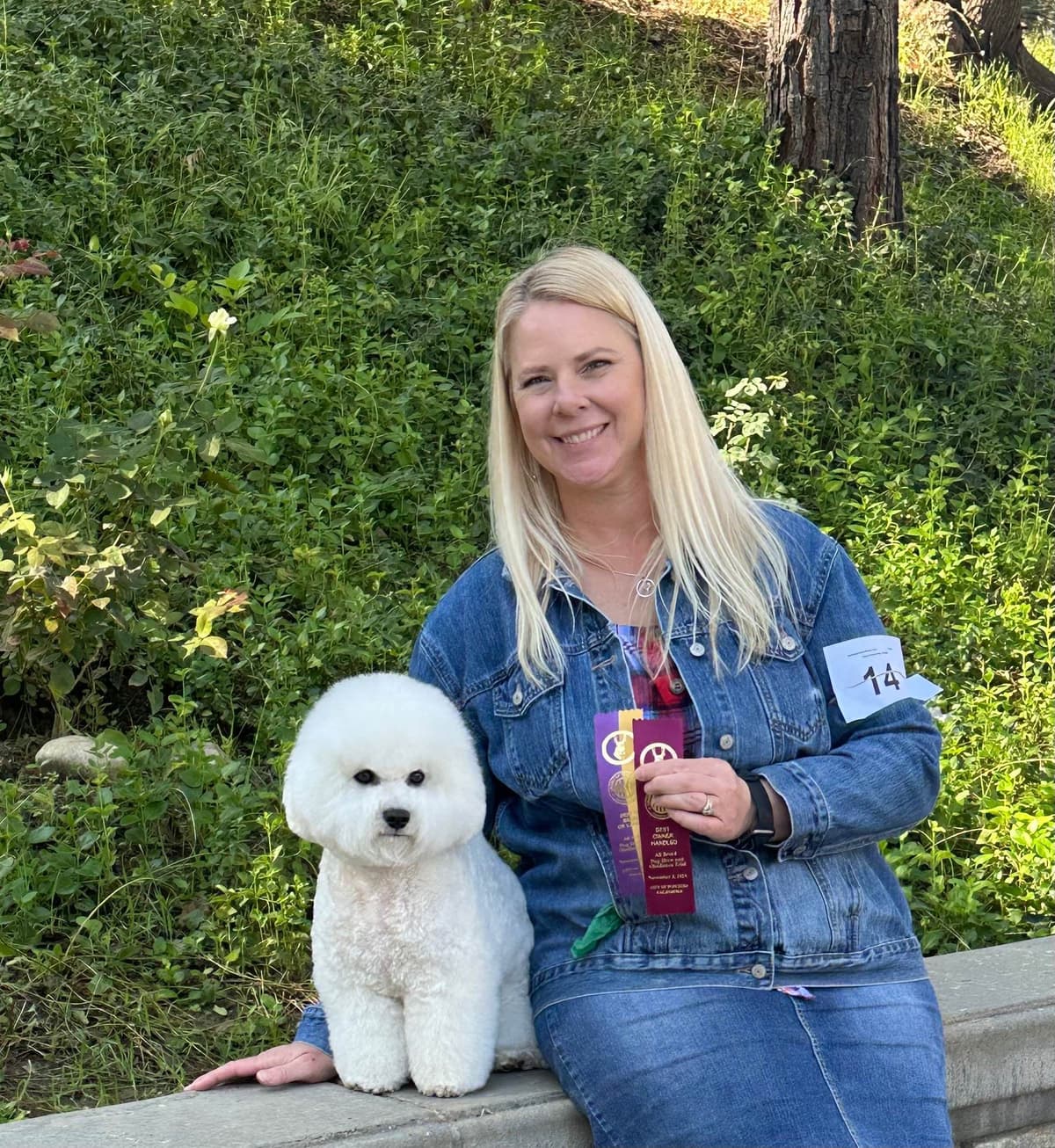 Bichon Frise Puppies breeder image 5