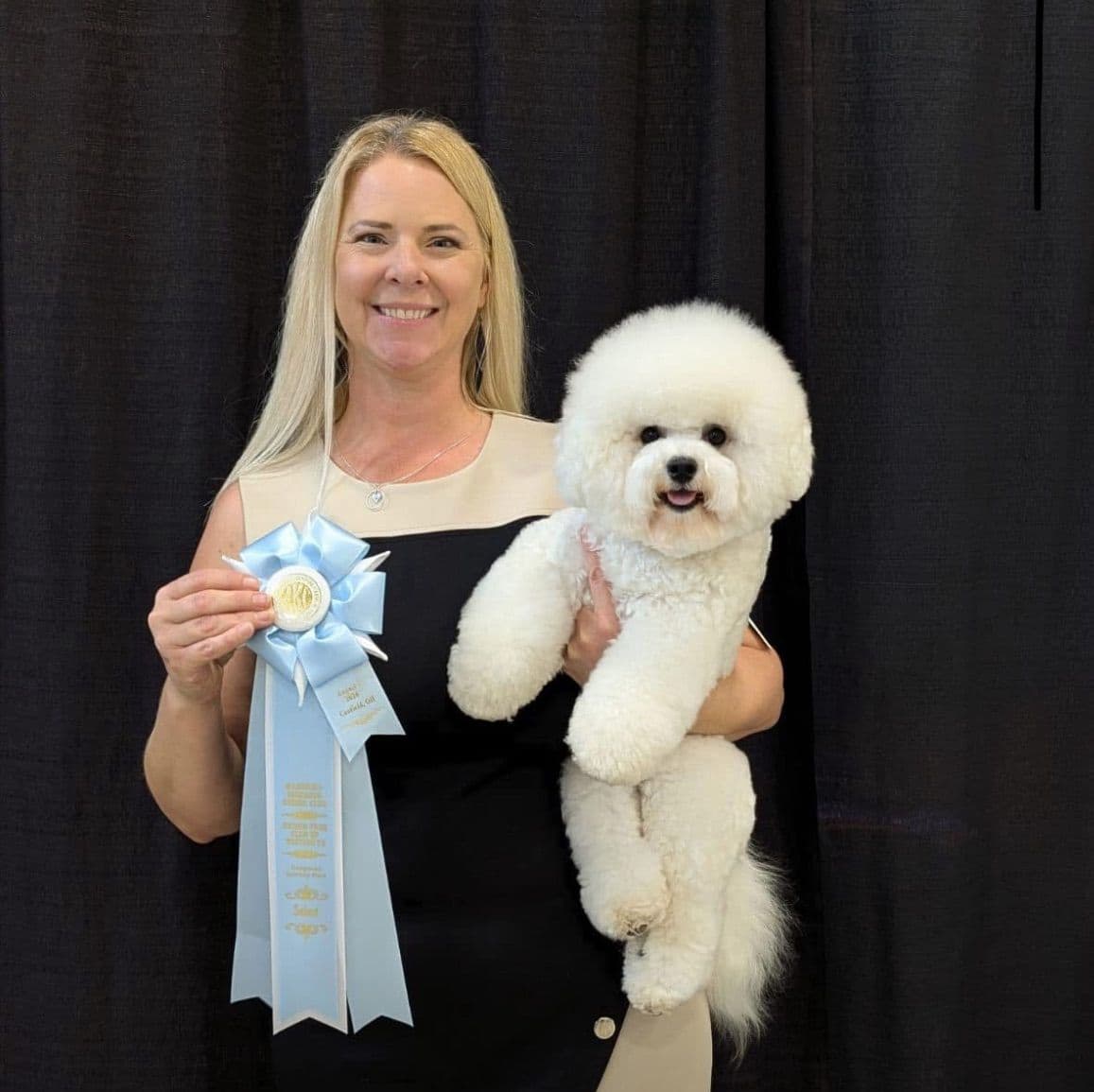 Bichon Frise Puppies breeder image 1