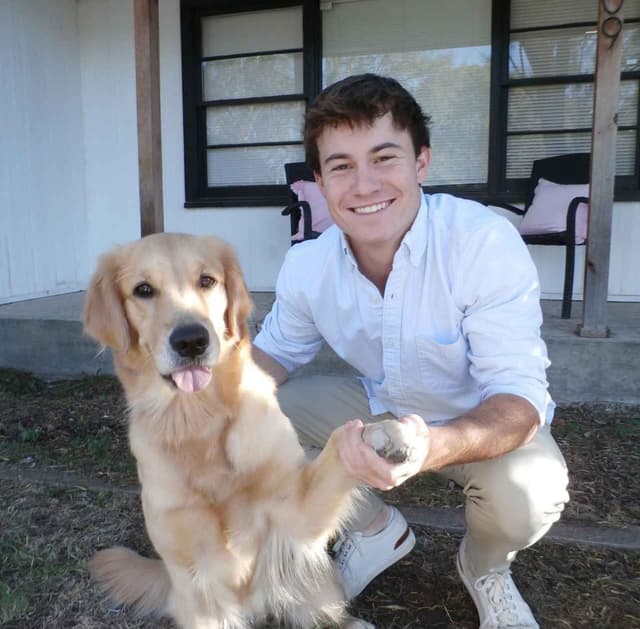 Golden Retriever Puppies in Cypress, Texas media 4