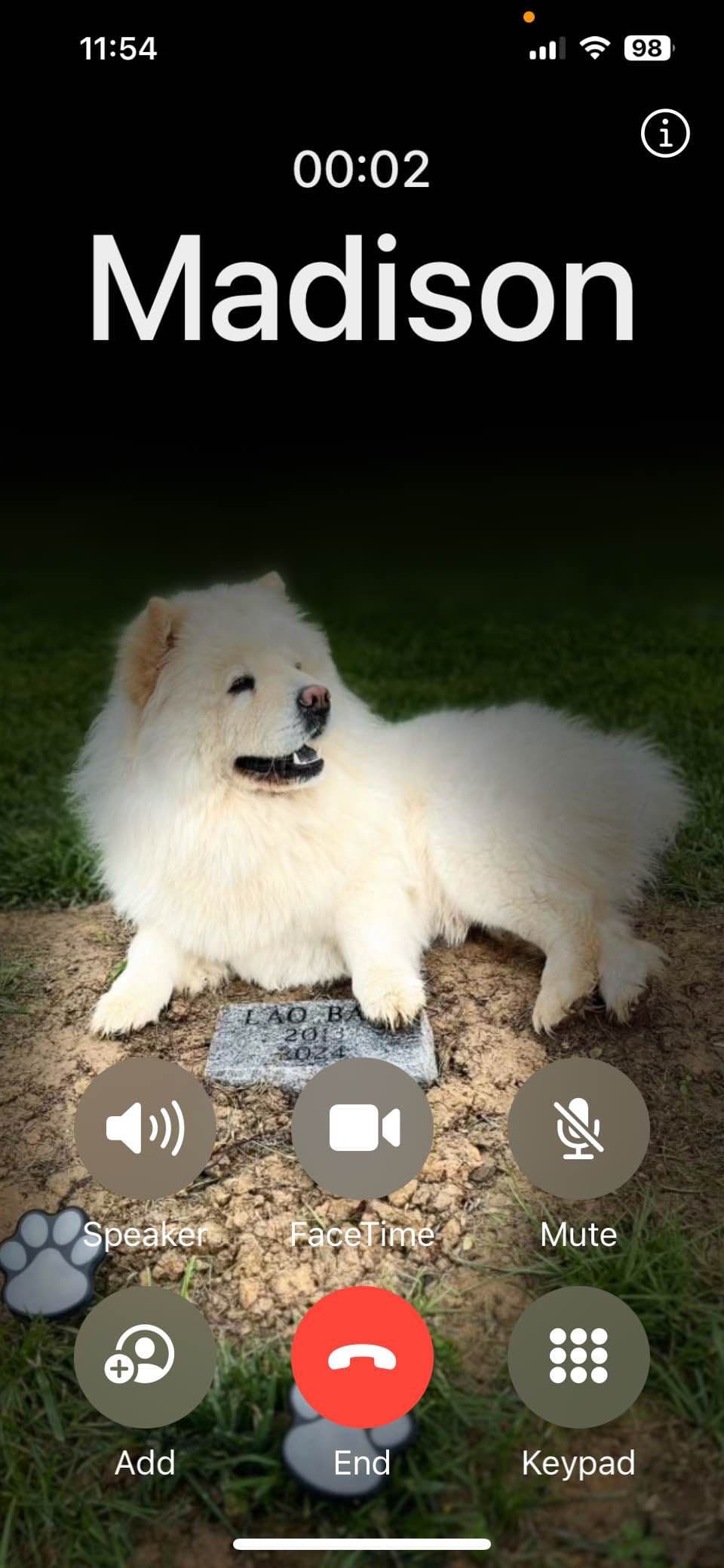 Chow Chow Puppies breeder image 1