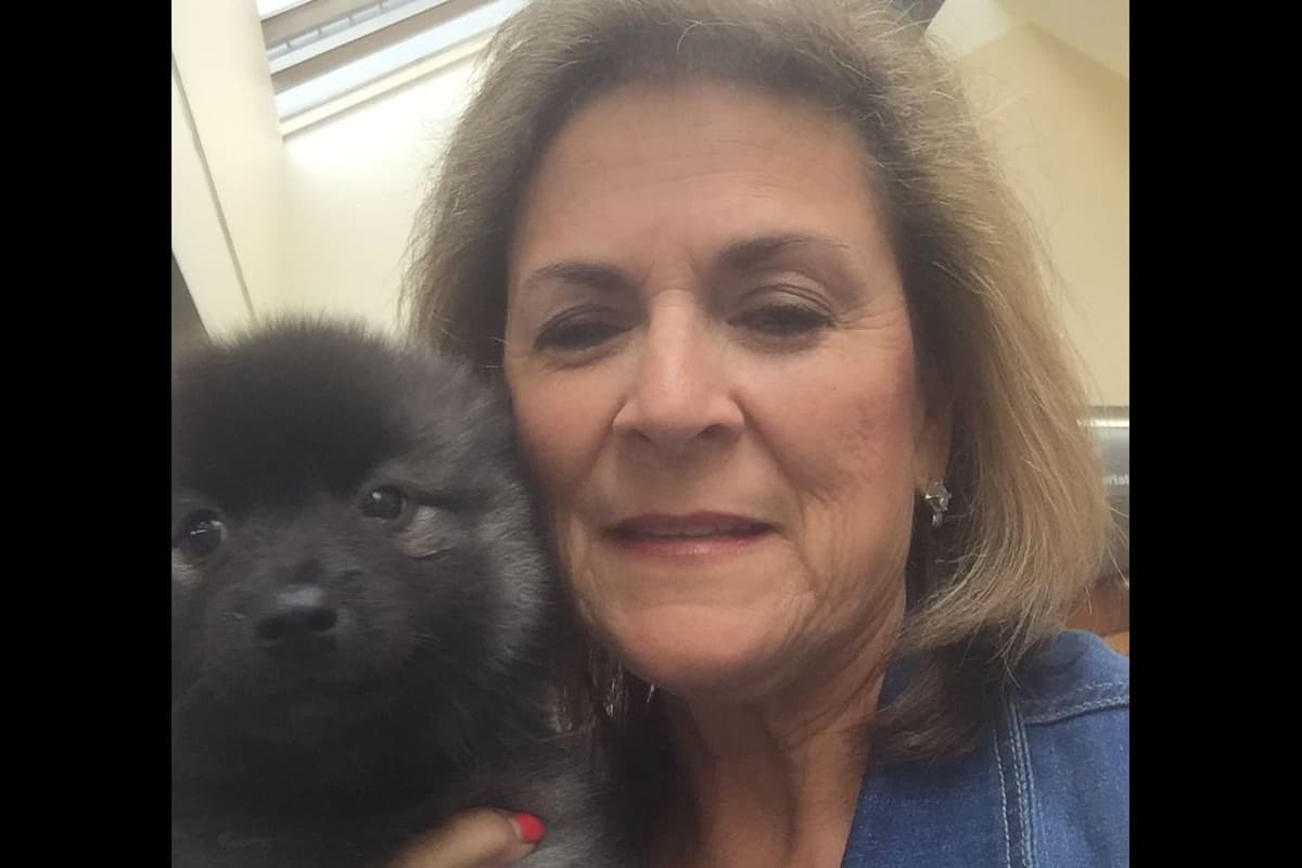 Keeshond Puppies breeder image 2