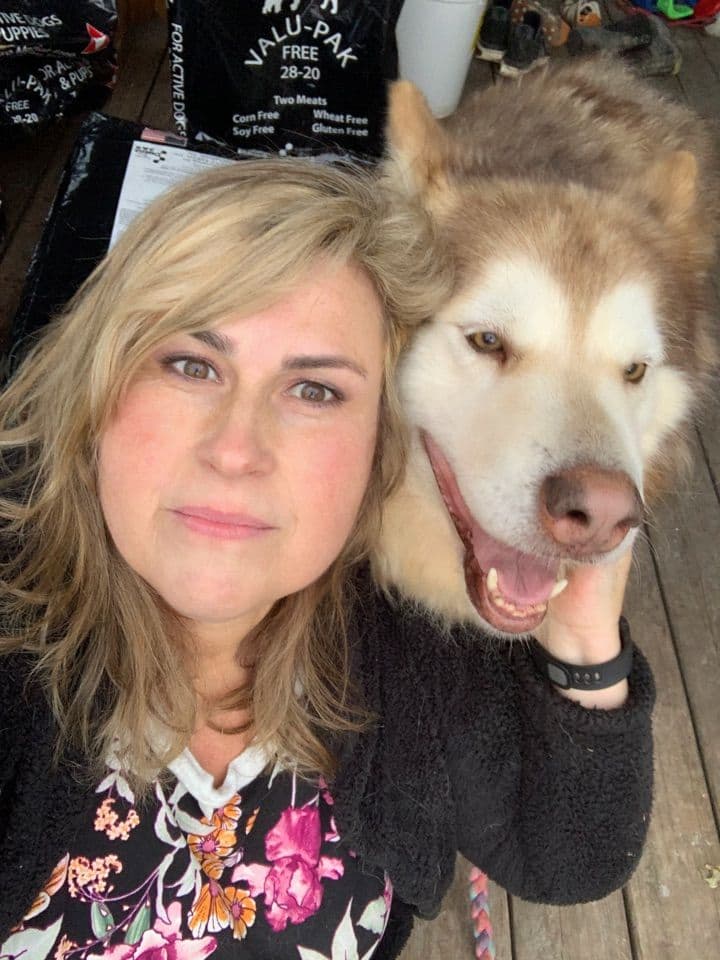 Alaskan Malamute Puppies breeder image 64
