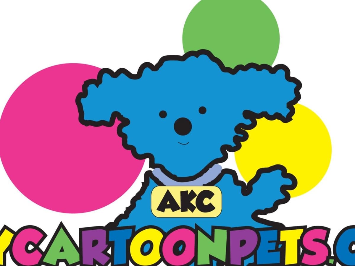 Poodle Puppies breeder image 8