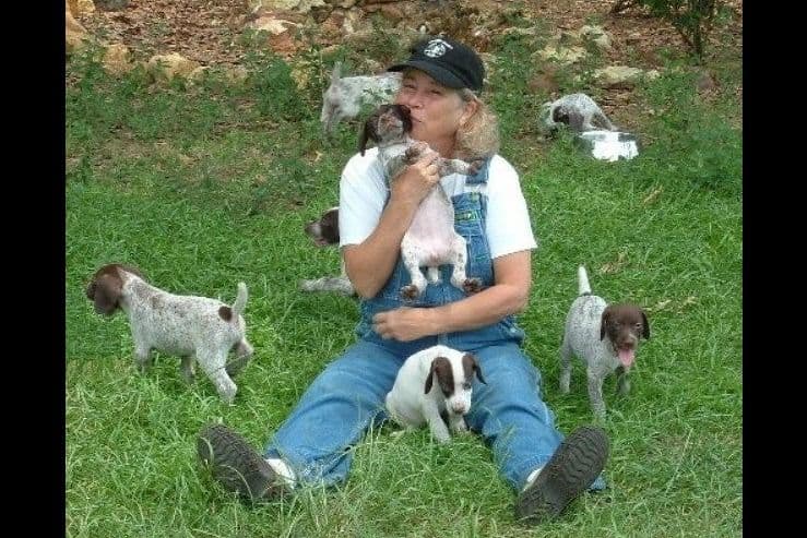 German Shorthaired Pointer Puppies breeder image 3