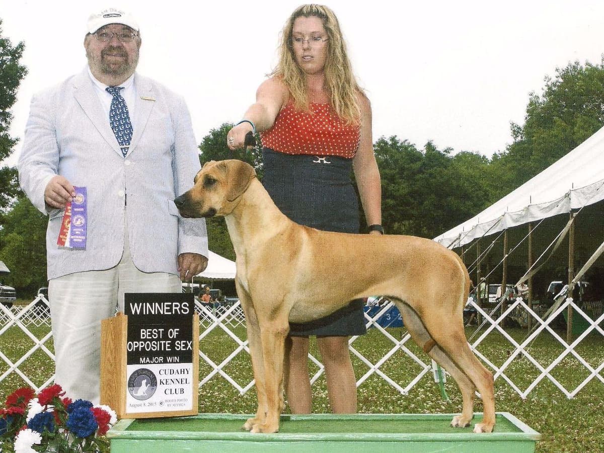 We've discovered yogurt! Rhodesian Ridgeback Puppies breeder image 7