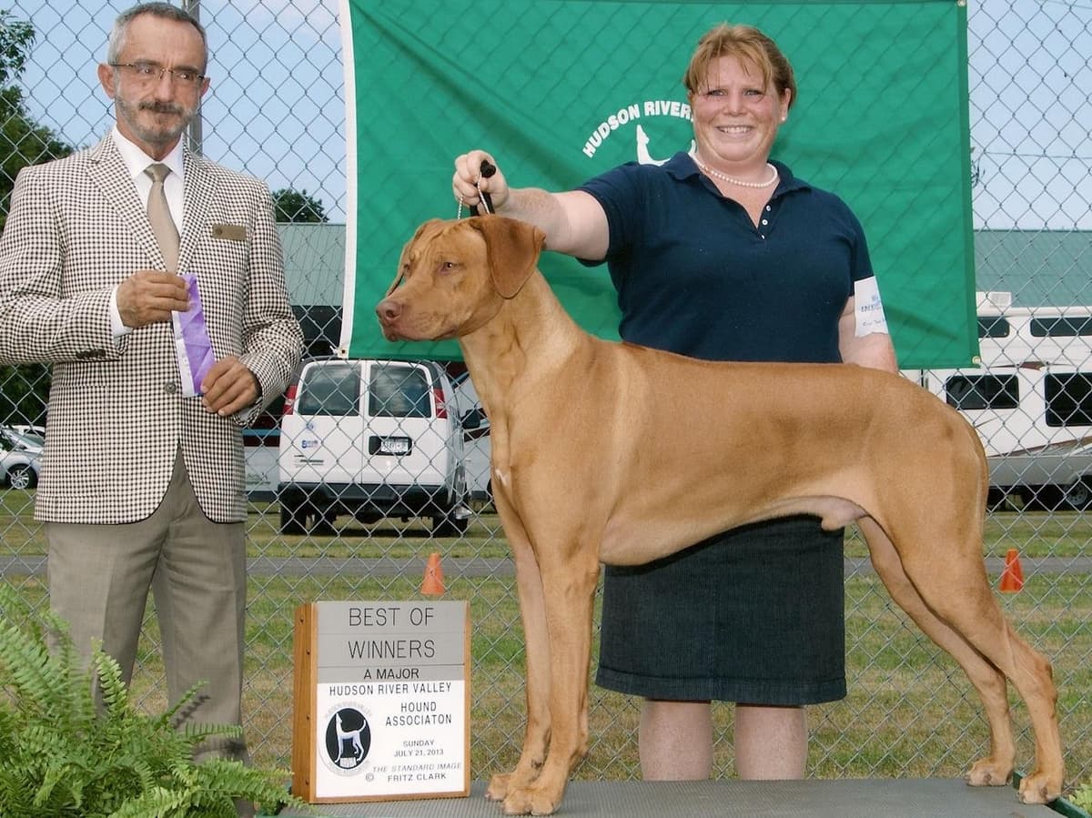 We've discovered yogurt! Rhodesian Ridgeback Puppies breeder image 17