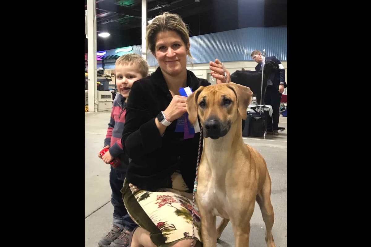We've discovered yogurt! Rhodesian Ridgeback Puppies breeder image 32